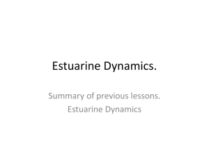 Estuarine Dynamics.
