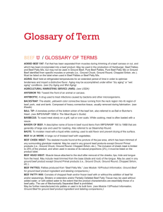 beef u glossary of terms