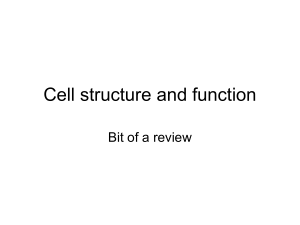 06.Cell structure and function.web