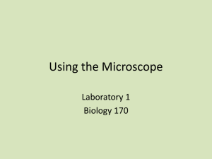 Using the Microscope - Think. Biologically.