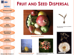 Fruit and Seed Dispersal