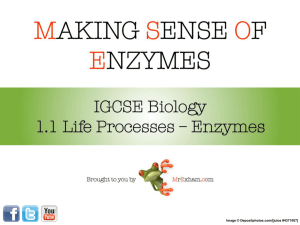 igcse_enzymes - Help for MYP 4 and 5 Students