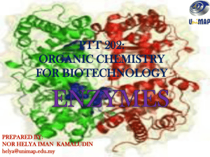 Lecture: Enzymes