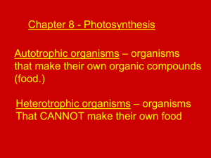 Chapter 8 - Photosynthesis Autotrophic organisms