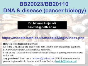 Normal Cell Cancer Cell