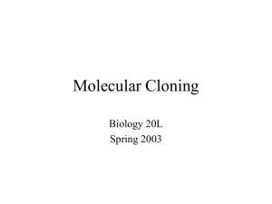 Molecular Cloning Exercise Overview