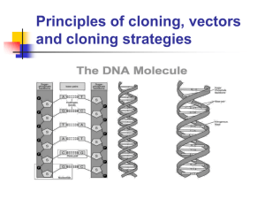 DNA cloning intro