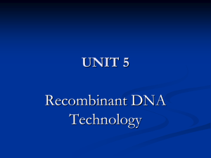 UNIT 5 - UtechDMD2015