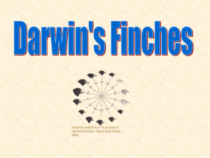 Darwins Finches lecture