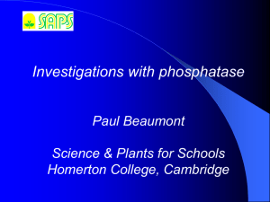 Investigations with phosphatase - Science and Plants for Schools