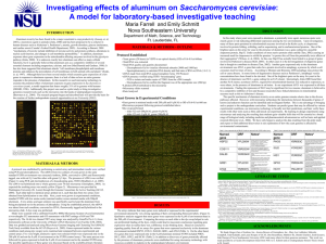 Investigating effects of aluminum on Saccharomyces cerevisiae: A