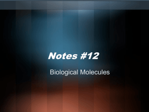 U3_Notes12_Macromolecules