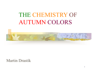 the chemistry of autumn colorsdrastik
