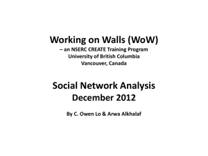 2012 SNA Report - Working on Walls