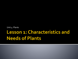 Lesson 1: Characteristics and Needs of Plants
