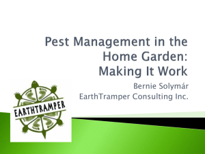 Pest Management in the Home Garden