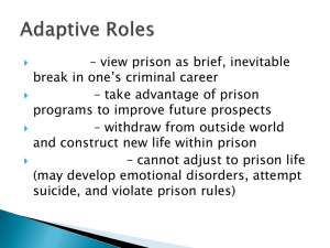 Adaptive Roles