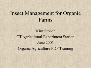 Insect Management for Organic Farms
