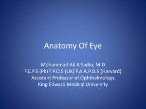 Anatomy Of Eye - King Edward Medical University
