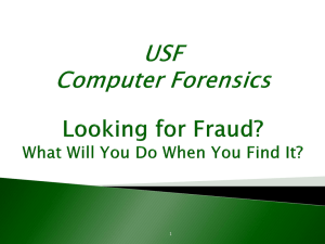 EXAMPLES OF FRAUD CONCERNS