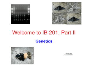Welcome to the Genetics portion of IB 201!