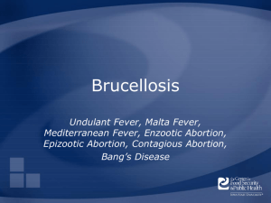 Brucellosis - The Center for Food Security and Public Health