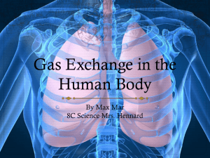 Gas Exchange in the Human Body MaxMar