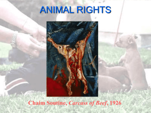 Animal Rights - Animal Liberation Front