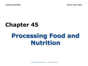 Food & Nutrition - Biology Junction
