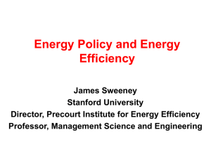 Economic Issues of Energy Efficiency 2006 American Institute of
