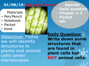 Objective: Today we will identify structures in plants and animal cells