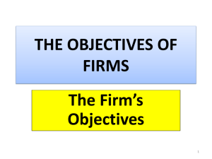 objectives of firms