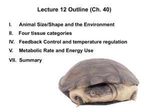 lecture 12 ppt