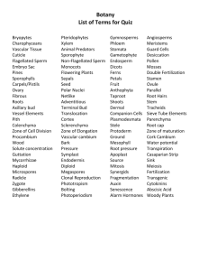 Botany List of Terms for Quiz