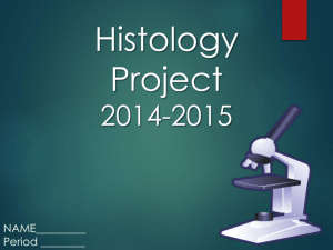 Histology Project Template