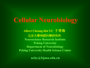 Cellular neurobiology