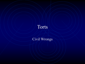 Torts - The Big L