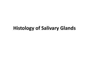 Histology of Salivary Glands [PPT]