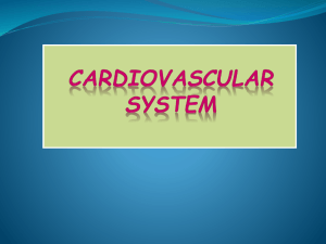 Cardiovascular_block_I[final]_AD[1].