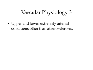 Vascular Physiology 3 - University Health Care System