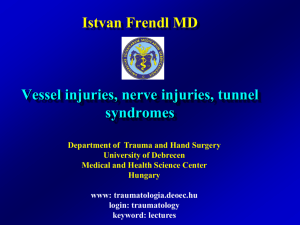 Istvan Frendl MD Vessel injuries, nerve injuries, tunnel syndromes