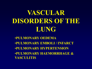 SN-Vascular-Disorders-of-the