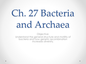 Ch. 27 Bacteria and Archaea notes