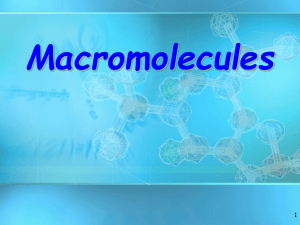 macromolecules ppt