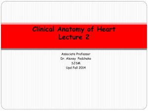 Clinical Anatomy of Pericardium and Heart part 2