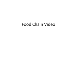 Food Chain Video