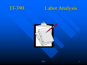 IT-390 Chapt 2 Labor Analysis