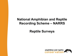 How to survey for reptiles - National Amphibian & Reptile Recording