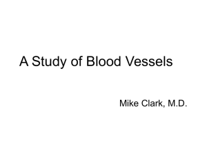 Blood_Vessels__Study_of_