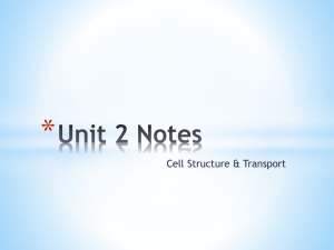 Unit 2 Notes Cell Parts